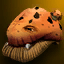 Fungus Hat (Event) - 30-day limited period