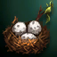 Bird Nest (Event)