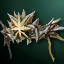 Circlet of Storm