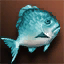 Small Jade Fat Fish - For Beginners