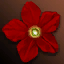 Hanellin's Red Flower