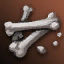 Shilen Bone