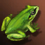 Transformation Scroll: Frog