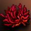 Red Coral