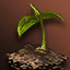 Ancient Herb - Guide